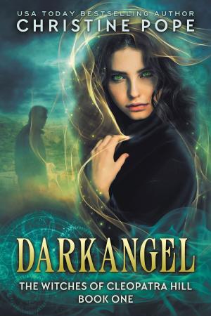 Book cover of Darkangel