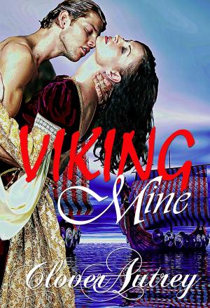 Cover of the book Viking Mine by Albert W. Aiken