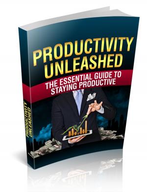 bigCover of the book Productivity Unleashed by 