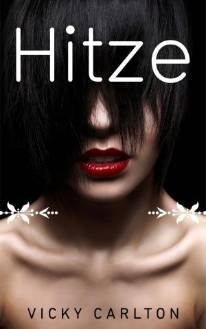 Book cover of Hitze. Drei erotische Kurzromane