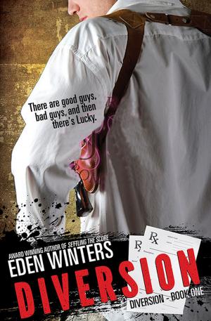 Cover of the book Diversion by Eden Winters
