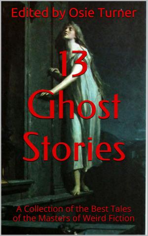 Cover of the book 13 Ghost Stories by Strangelet Press