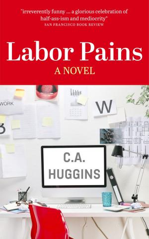 Cover of the book Labor Pains by Carroll Multz