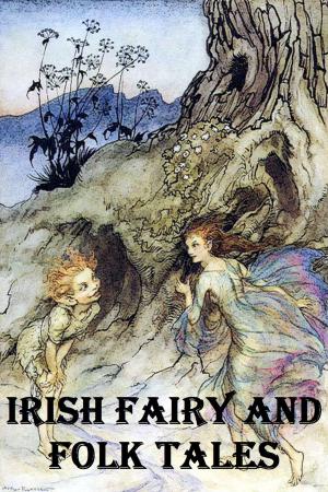 Book cover of IRISH FAIRY AND FOLK TALES