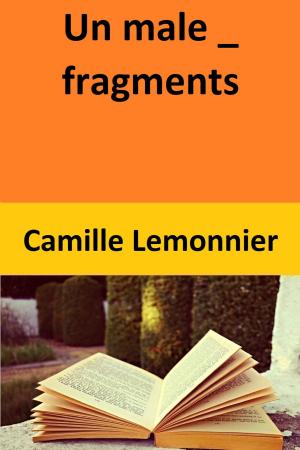 Book cover of Un male _ fragments