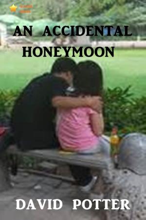 Book cover of An Accidental Honeymoon