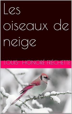 Cover of the book Les oiseaux de neige by Baltasar Gracián