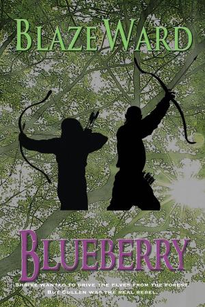 Cover of the book Blueberry by Blaze Ward