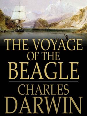 Cover of the book The Voyage of the Beagle by Sally Fairfax
