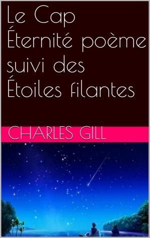 bigCover of the book Le Cap Éternité poème suivi des Étoiles filantes by 