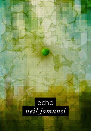 Cover of Echo (Projet Bradbury, #47)