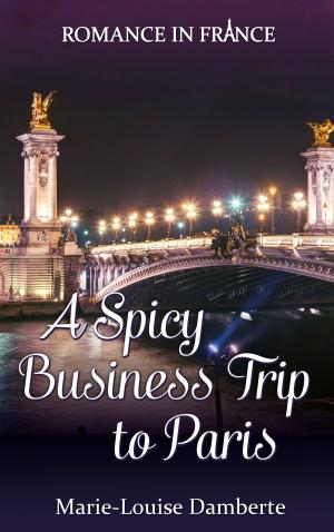 Cover of the book A Spicy Business Trip to Paris by Cyle Young