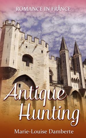 Cover of the book Antique Hunting by Polly Connor