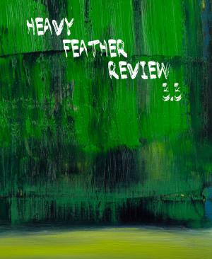 Cover of the book Heavy Feather Review 3.3 by Barbara Smith