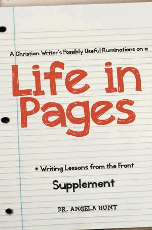 Book cover of A Christian Writer's Possibly Useful Ruminations on a Life in Pages