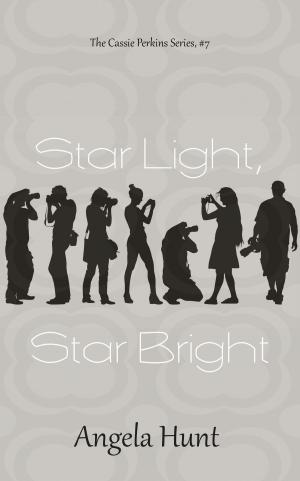 Cover of the book Star Light, Star Bright by Angela Hunt, Terry Meeks, Deb Holland