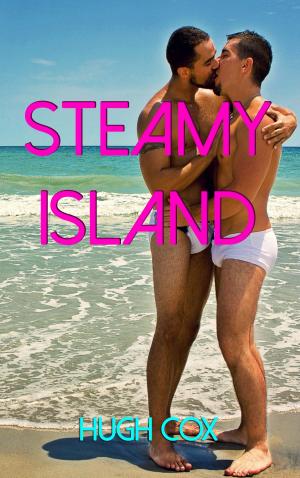 Cover of the book Steamy Island by Doll Swiving