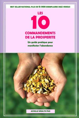 Book cover of LES COMMANDEMENTS DE LA PROSPERITE