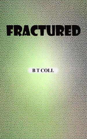 Cover of the book Fractured by Rita Amabili-Rivet