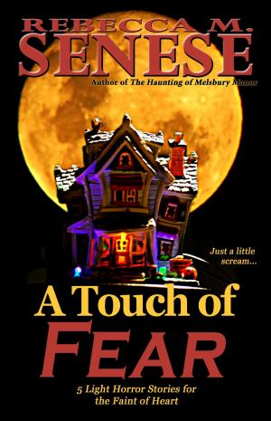 Cover of the book A Touch of Fear: 5 Light Horror Stories for the Faint of Heart by Holly Geely