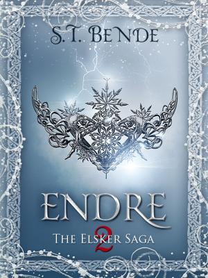bigCover of the book Endre by 