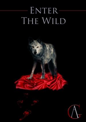 Cover of the book Enter The Wild by B.L. Brunnemer