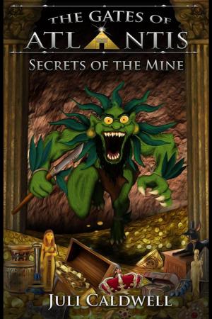Cover of Secrets of the Mine