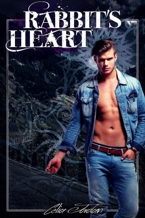 Cover of the book Rabbit's Heart by Thang Nguyen