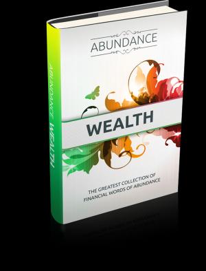 Cover of the book Abundance Wealth by 吳曉波