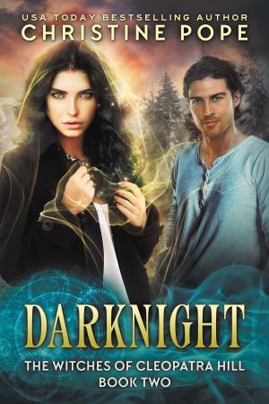Book cover of Darknight