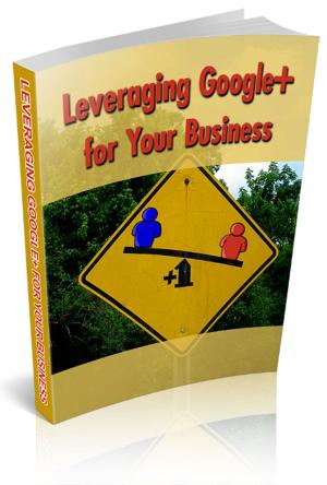 bigCover of the book Leveraging Google+ For Your Business by 