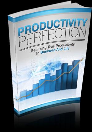 Cover of the book Productivity Perfection by Brian Mulipah