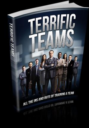 Cover of the book Terrific Teams by Jay Conlin