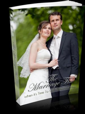Cover of The Marriage Fix