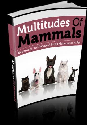 bigCover of the book Multitudes Of Mammals by 