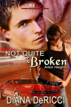 Cover of the book Not Quite Broken by Richard Stevenson