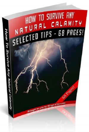 Cover of the book How To Survive Any Natural Calamity by Anonymous