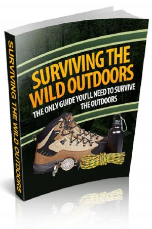 Cover of the book Surviving The Wild Outdoors by Howard Pyle