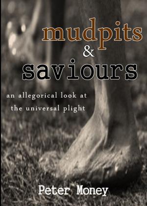 Cover of the book mudpits & saviours by Alex Stofa