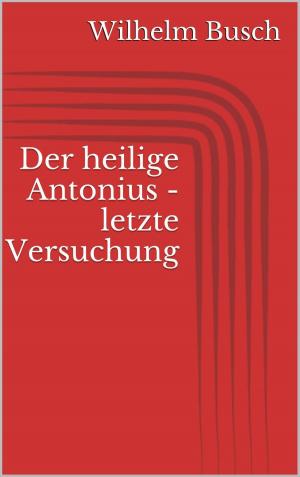 Cover of the book Der heilige Antonius - letzte Versuchung by Ernst Theodor Amadeus Hoffmann