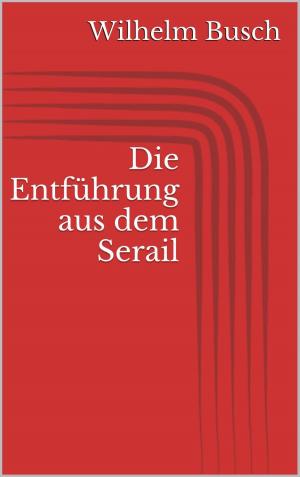 Cover of the book Die Entführung aus dem Serail by Franz Kafka