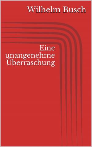 Cover of the book Eine unangenehme Überraschung by Ernst Theodor Amadeus Hoffmann