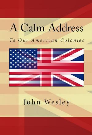Cover of the book A Calm Address To Our American Colonies by John Wesley