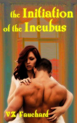 Cover of the book The Initiation Of The Incubus by Camilla Ciucciacazzi