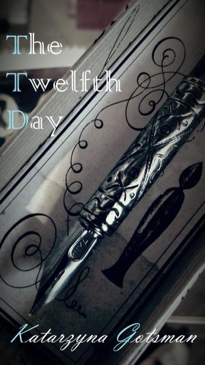 Cover of the book The Twelfth Day by Paul J Bennett
