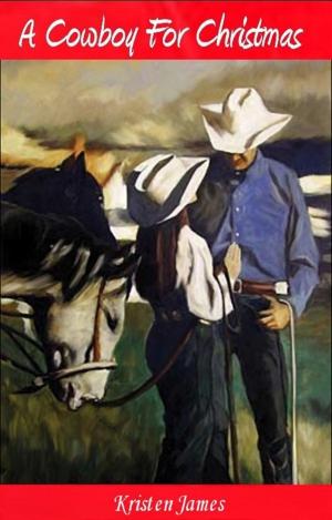 Book cover of A Cowboy For Christmas