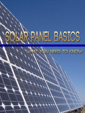 Cover of the book Solar Panel Basics by Jules Verne
