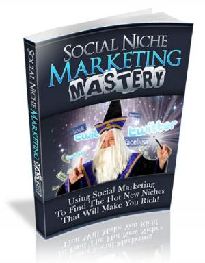 Cover of the book Social Niche Marketing Mastery by Hieronymus van Alphen