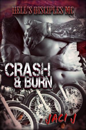 Cover of the book Crash & Burn by Jenny B. Jones