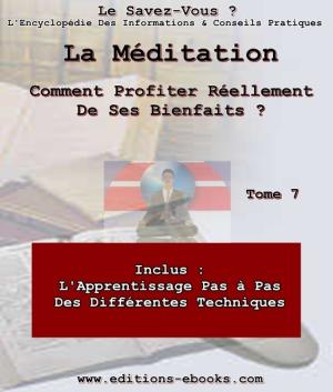 Cover of the book La Méditation - comment profiter réellement de ses bienfaits ? by Chris James, Collectif des Editions Ebooks
